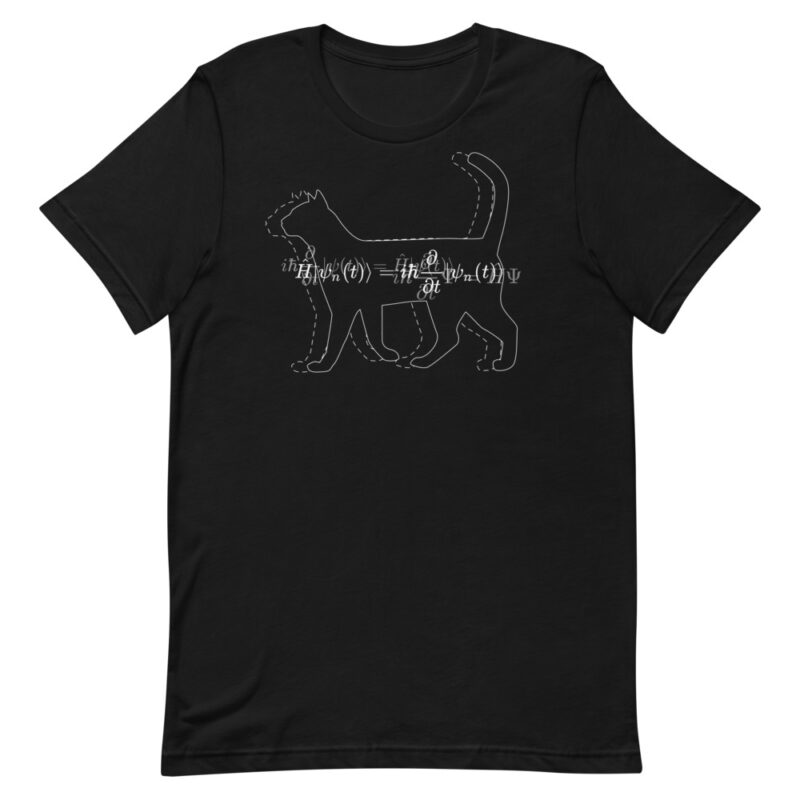 Schrödinger Equation T-Shirt
