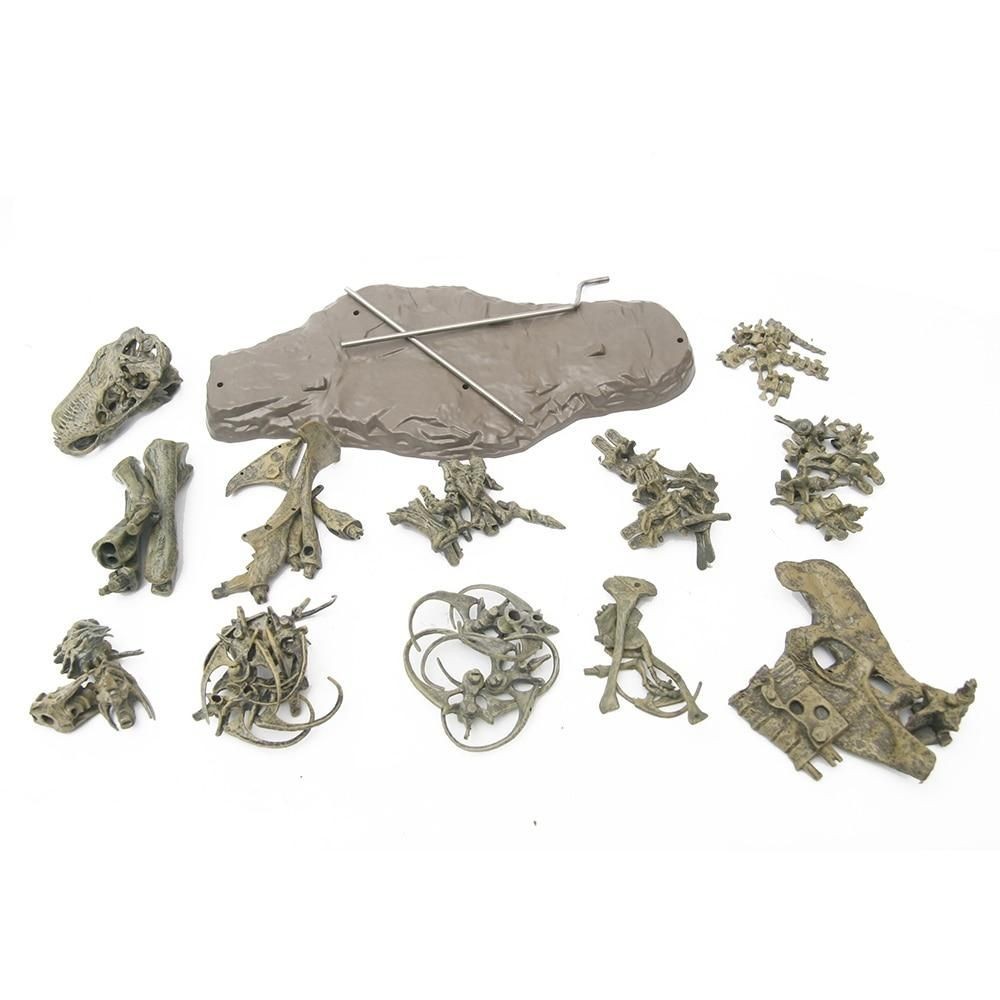 T-Rex Fossil DIY Assembly Model - Image 4